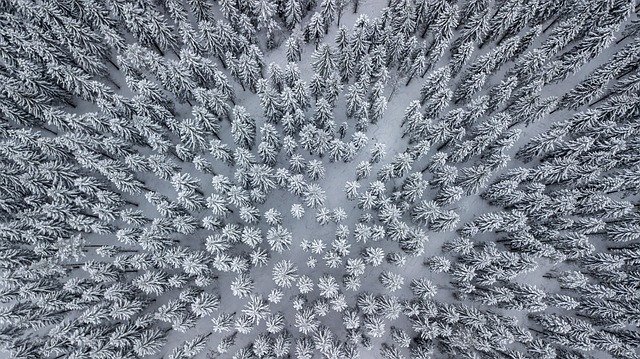 Cábala: Los misterios del Árbol de la Vida y el Zohar