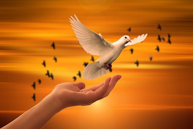La ética judía: El Tikkun Olam (reparar el mundo)