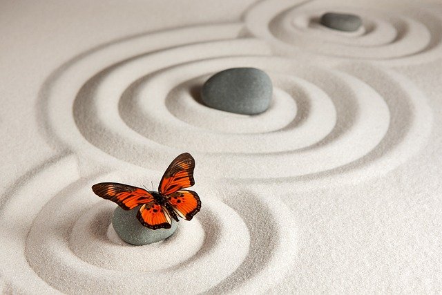 Yoga espiritual: Jnana, Bhakti, Karma y Raja Yoga