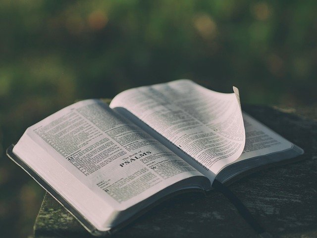 Los Salmos: Oración y alabanza en la tradición judeocristiana