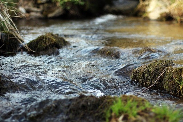 La alquimia interna en el Taoísmo: Transformación de la energía