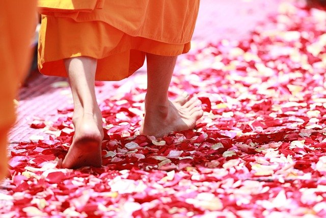 Los mudras: Significado y uso de los gestos sagrados en la meditación