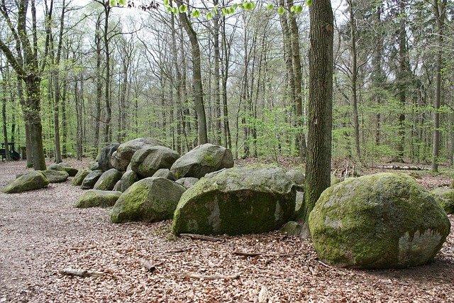 Rituales de paso: Nacimiento, matrimonio y muerte